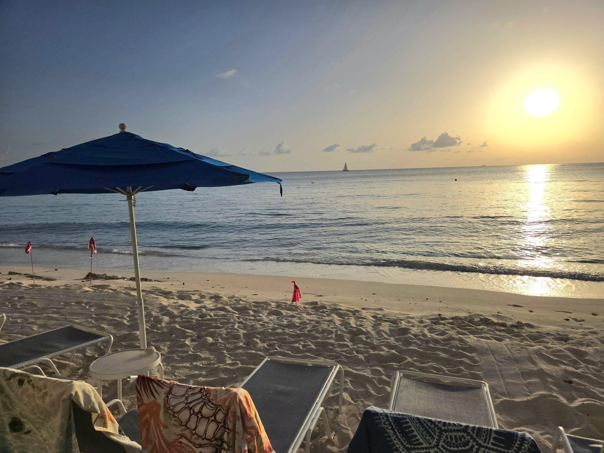 Multiple red "Danger" signs stuck in the sand the length of the limited beach. The photo was taken standing at the edge of the building