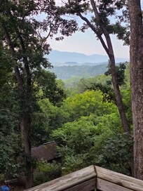 View from back deck