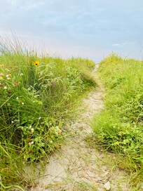 Short pretty path to the beach.