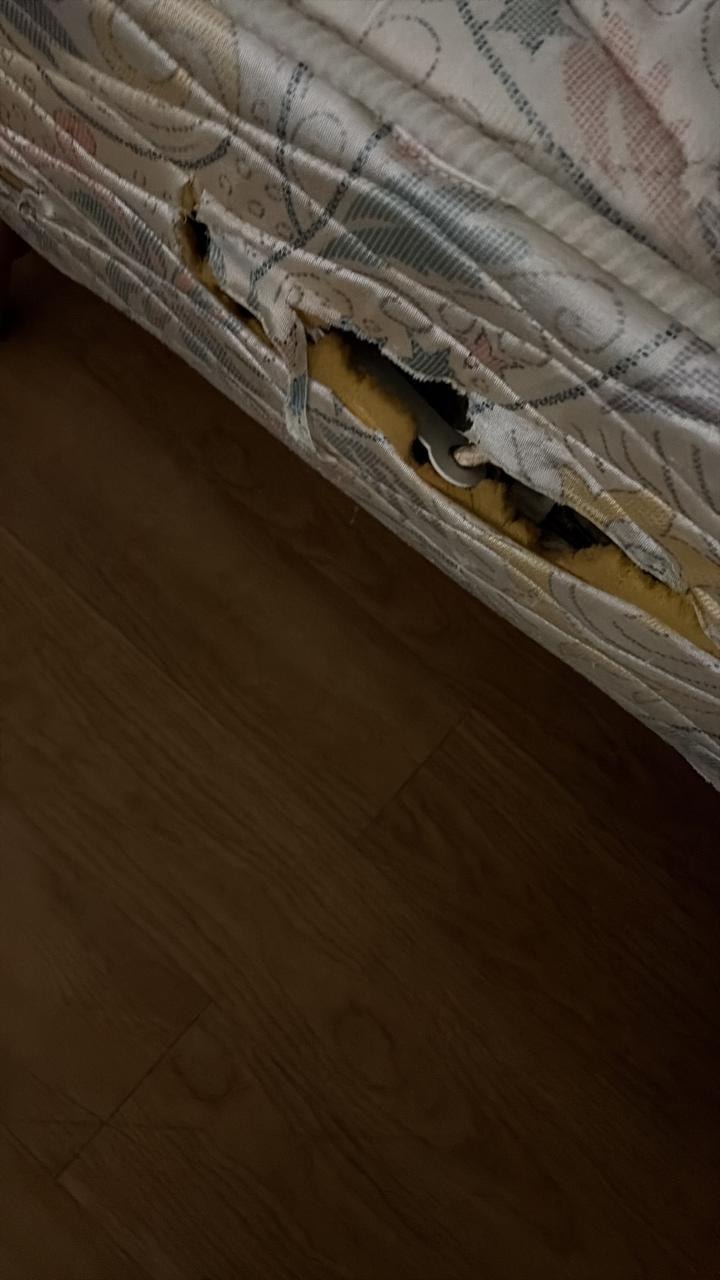 Hier ist der Zustand der Matratze sowie die Löcher, die sie hatte, deutlich zu erkennen.