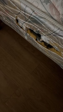 Hier ist der Zustand der Matratze sowie die Löcher, die sie hatte, deutlich zu erkennen.