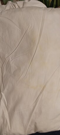 Two out of four pillows badly stained, and should not have been used but removed during room clean