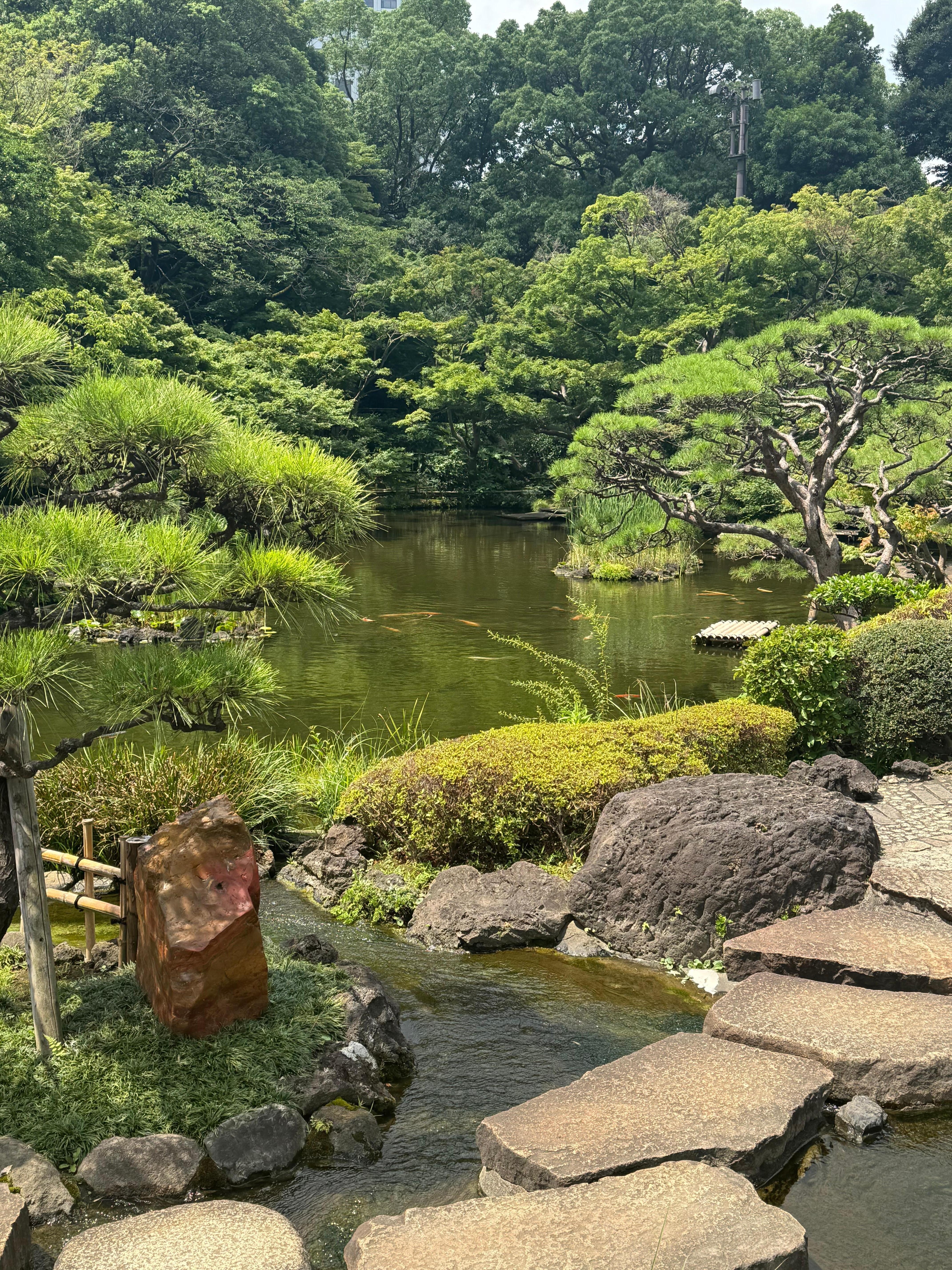 Japanese garden of the hotel 