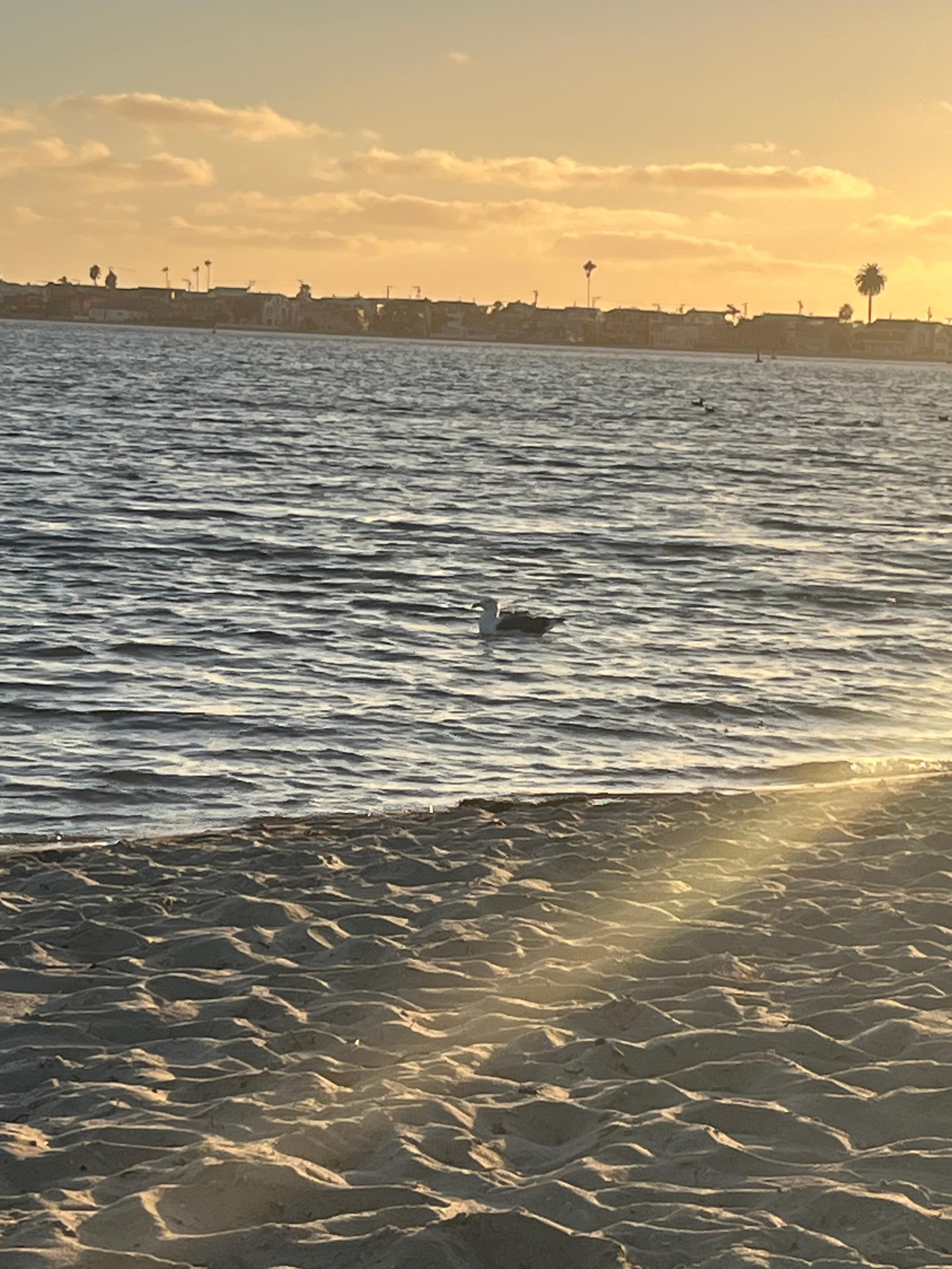 The bay is steps from the property and you can watch the sunset from the jacuzzi 
