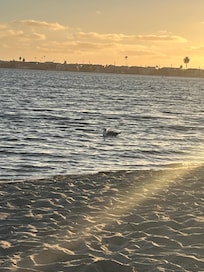 The bay is steps from the property and you can watch the sunset from the jacuzzi