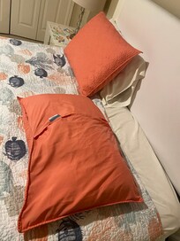 Guest bedroom missing pillows but had plenty of bed bugs.