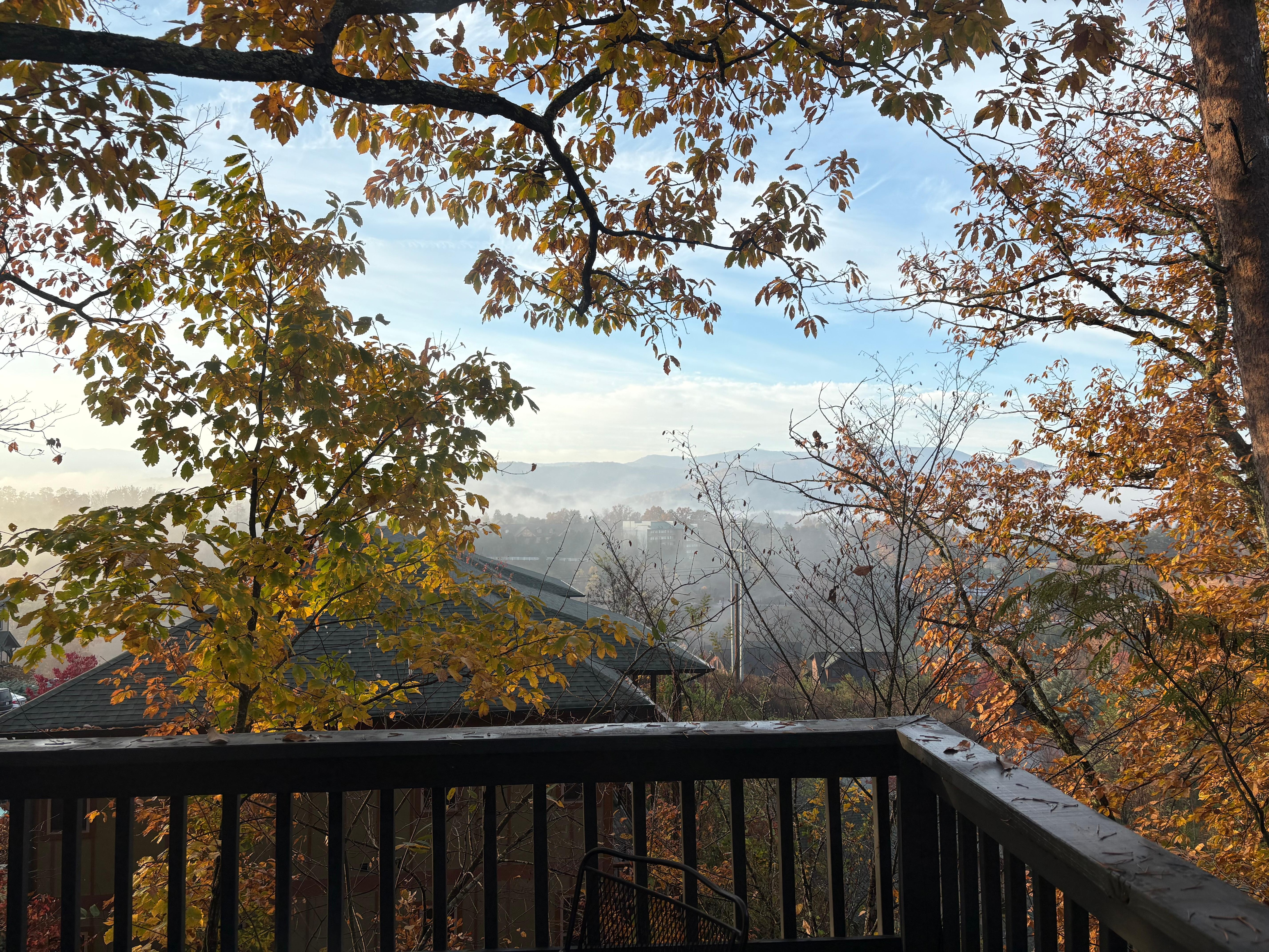 Beautiful morning view from the deck 