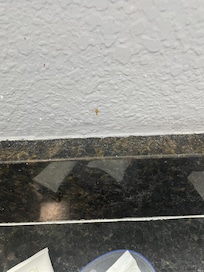 Brown splatter under mirror in bathroom