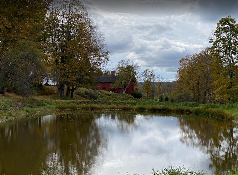 View of the barn from the pond on the property 