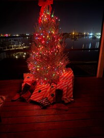 Our Christmas at the beach.