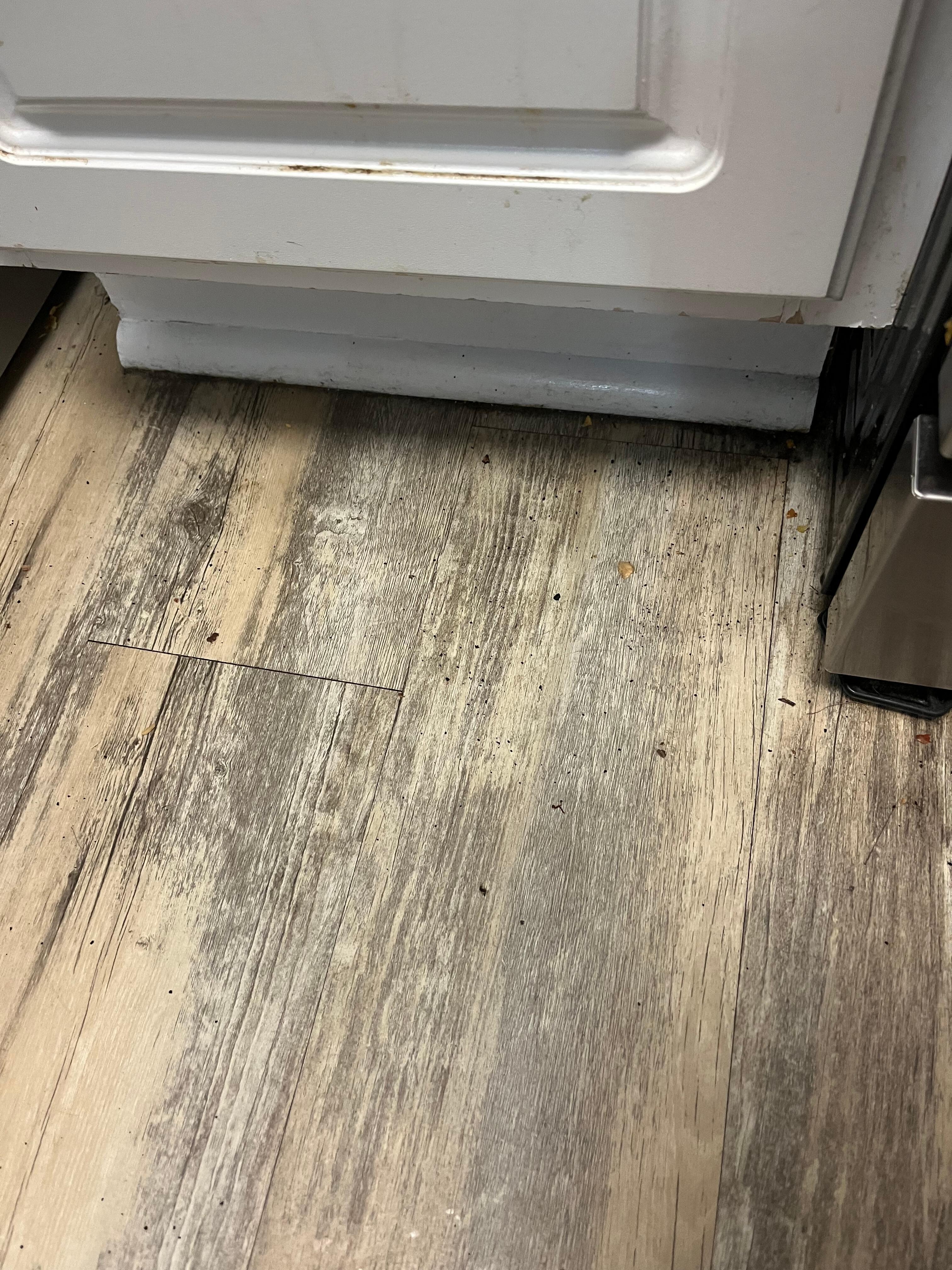 Dirty kitchen floor