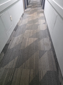 Carpet filthy
