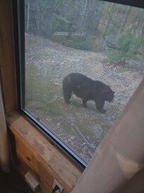 We had only been in about 45 minutes!