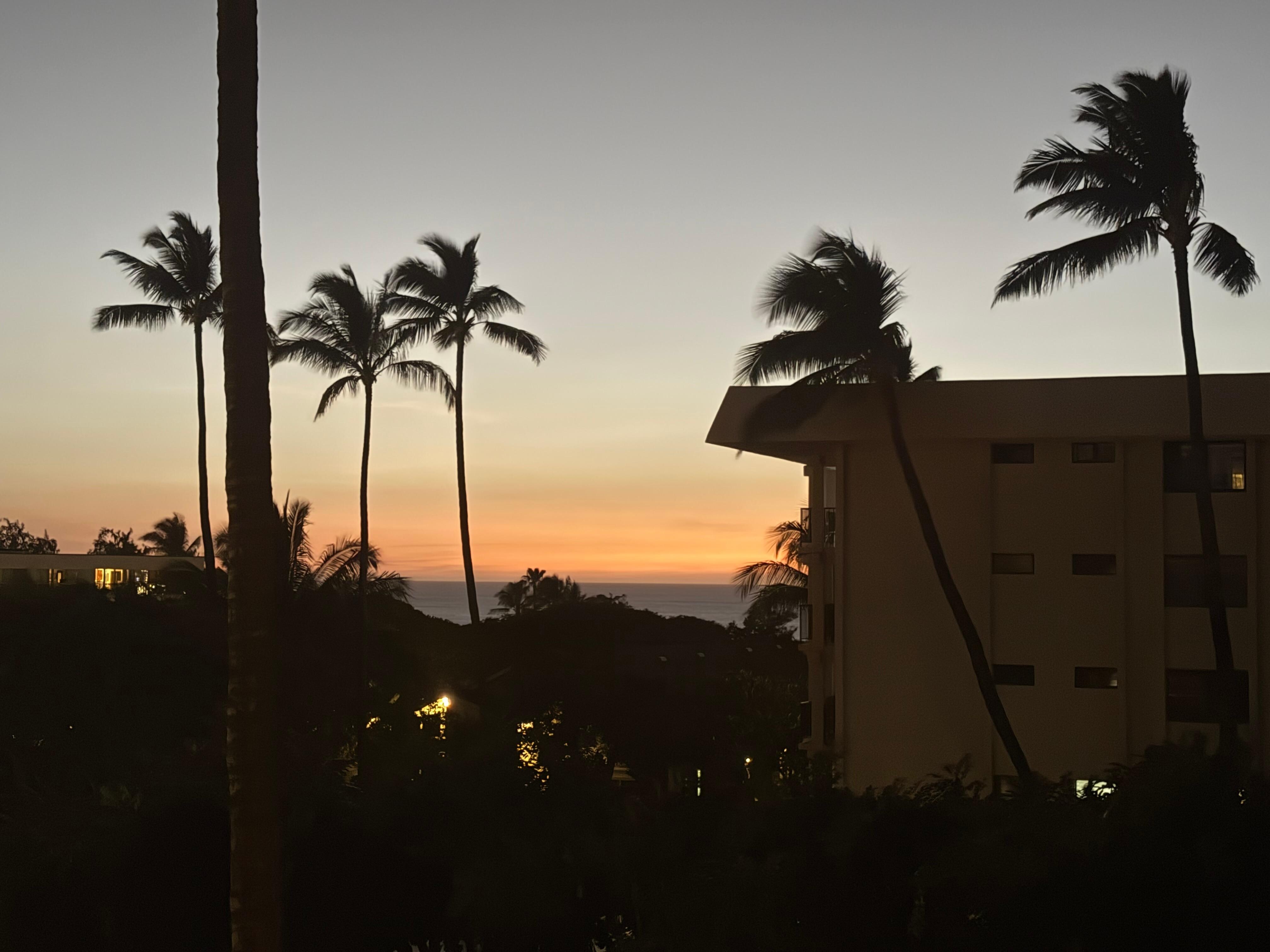 Peekaboo view of ocean from our lanai. It’s closer than it looks