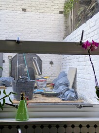 View from kitchen