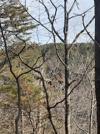 View from back deck.