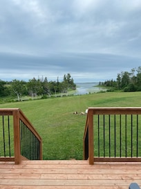 Cabin #1 view of backyard