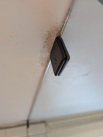 Mold on ceiling 1st area