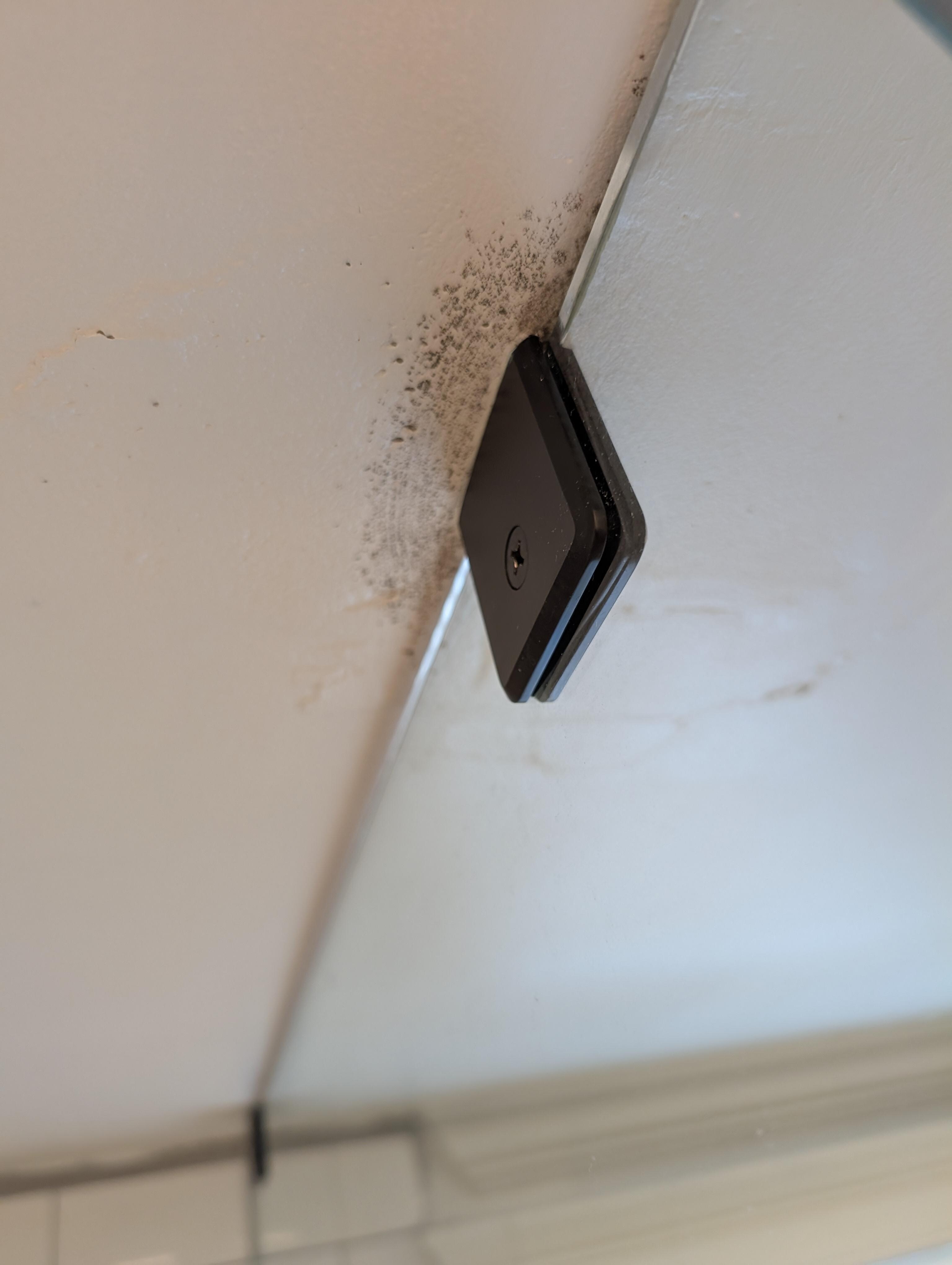 Mold on ceiling 1st area 