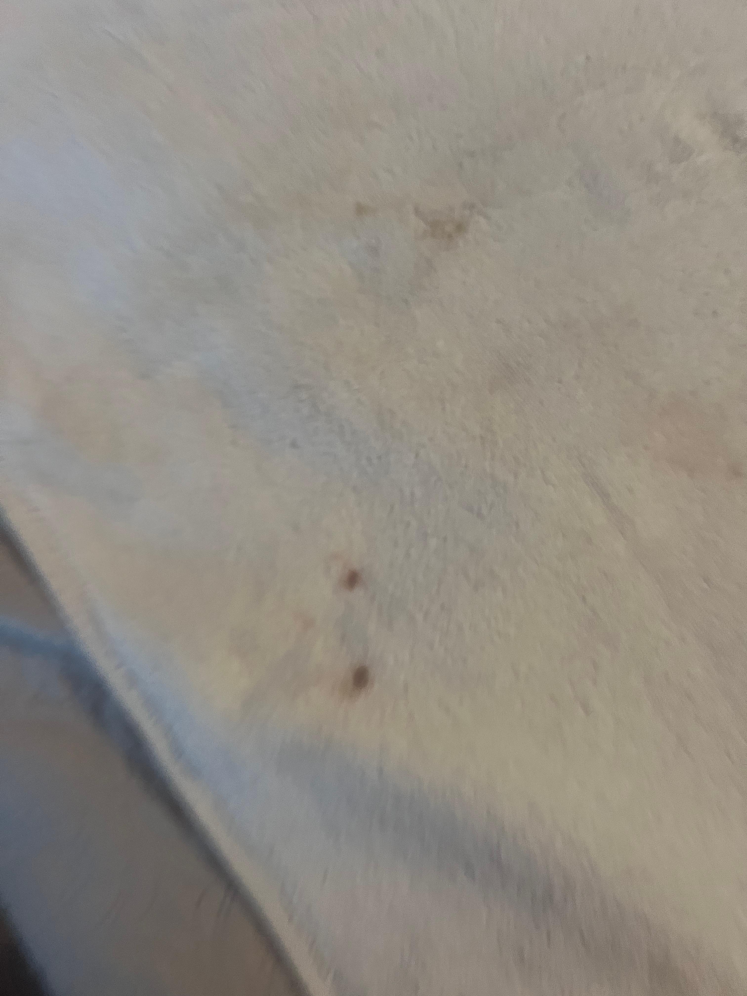 Blood stains on a towel