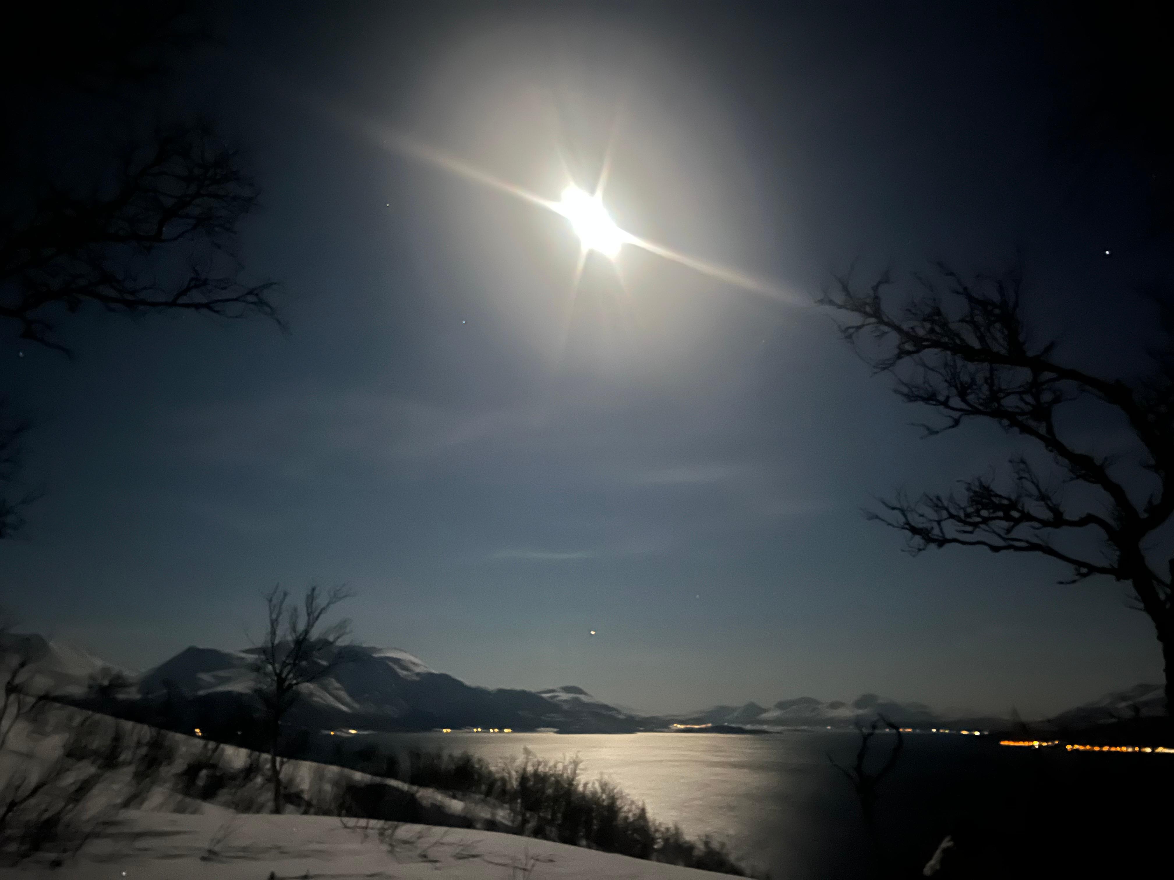 The view from our cabin in January 