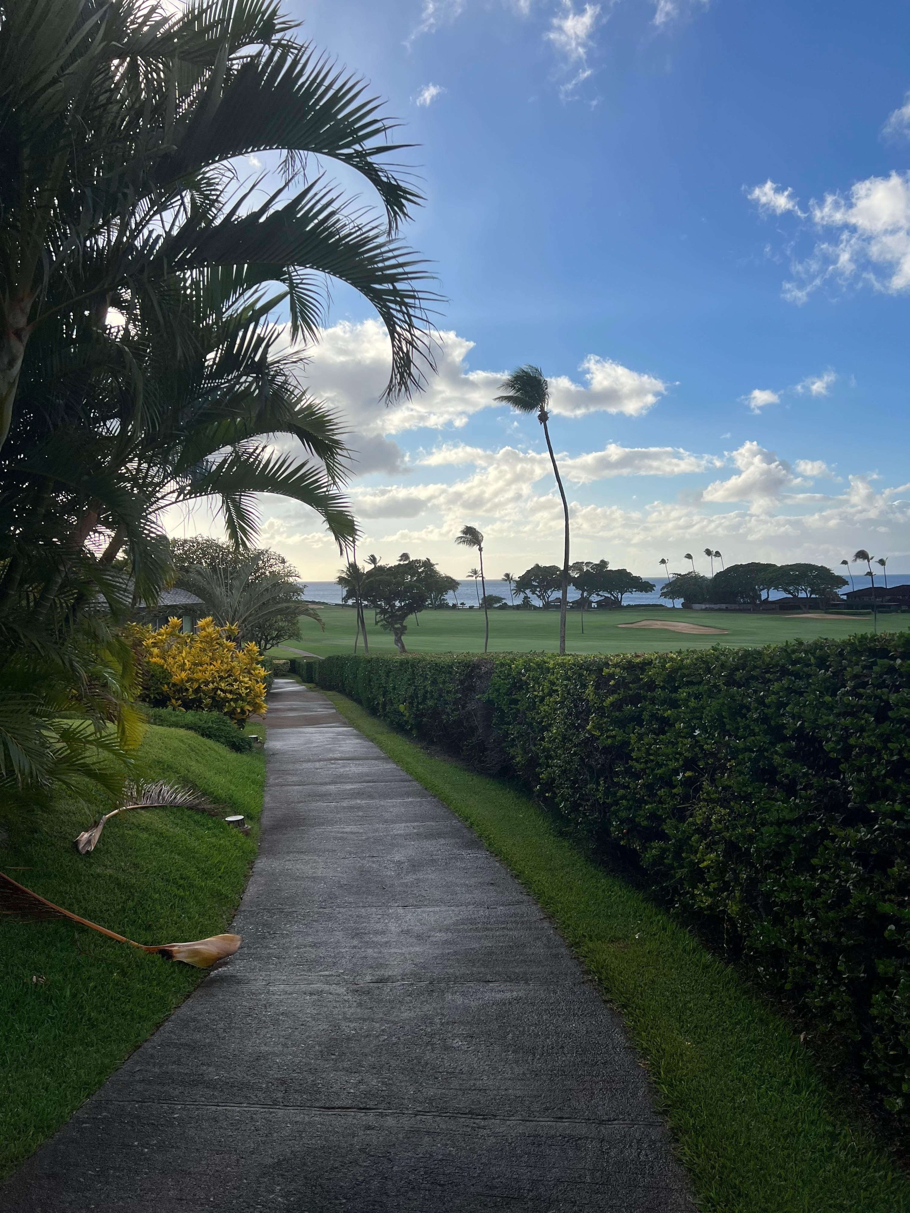 Beautiful evening walk 