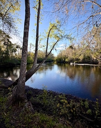 Near sunset on the Aucilla