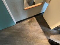 Store brun plet lige ved døren