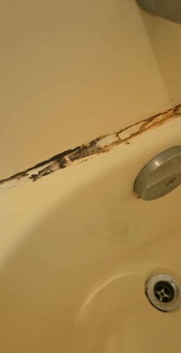 Mold in the tub