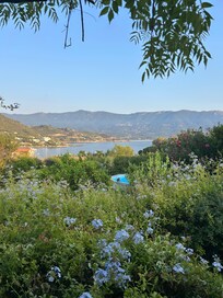 Vue de la terrasse