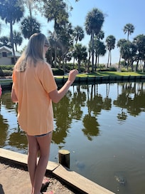 Turtle feeding