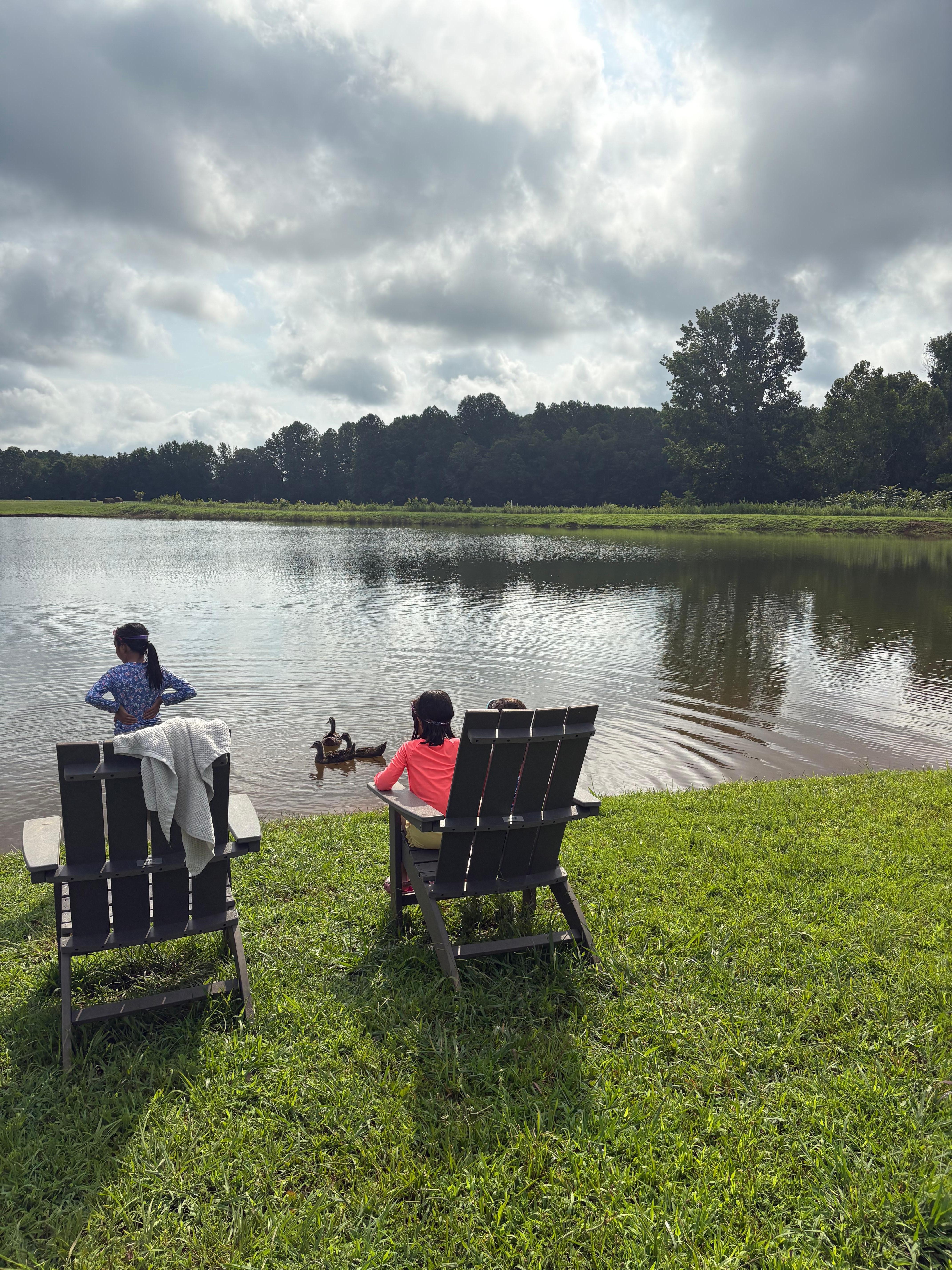 Sitting by the pond to meet the ducks and ducklings 