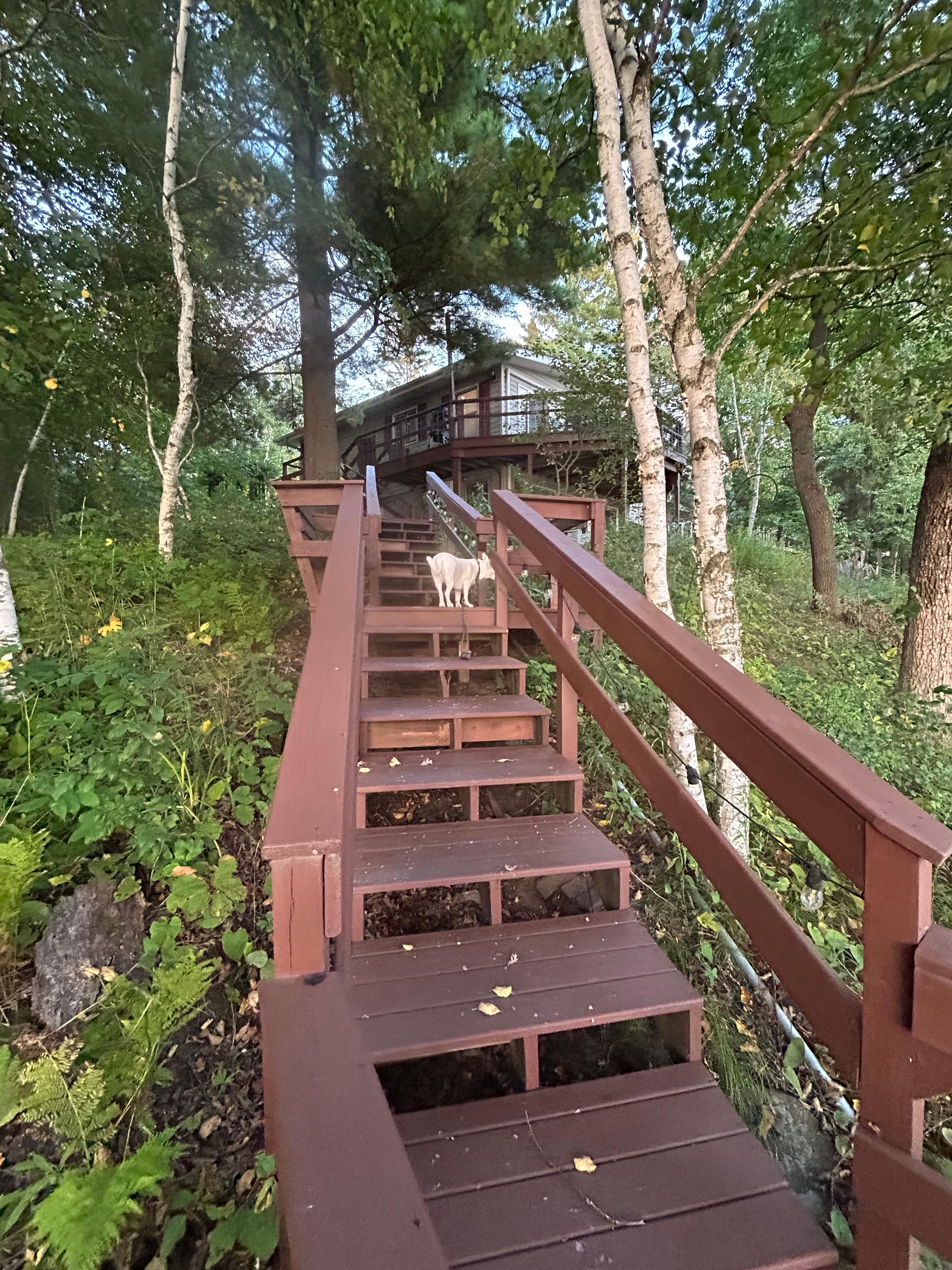 The stairs from the property to the lake were charming! 