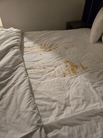 Bed full of crumbs.