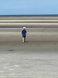 A walk to the beach at low tide