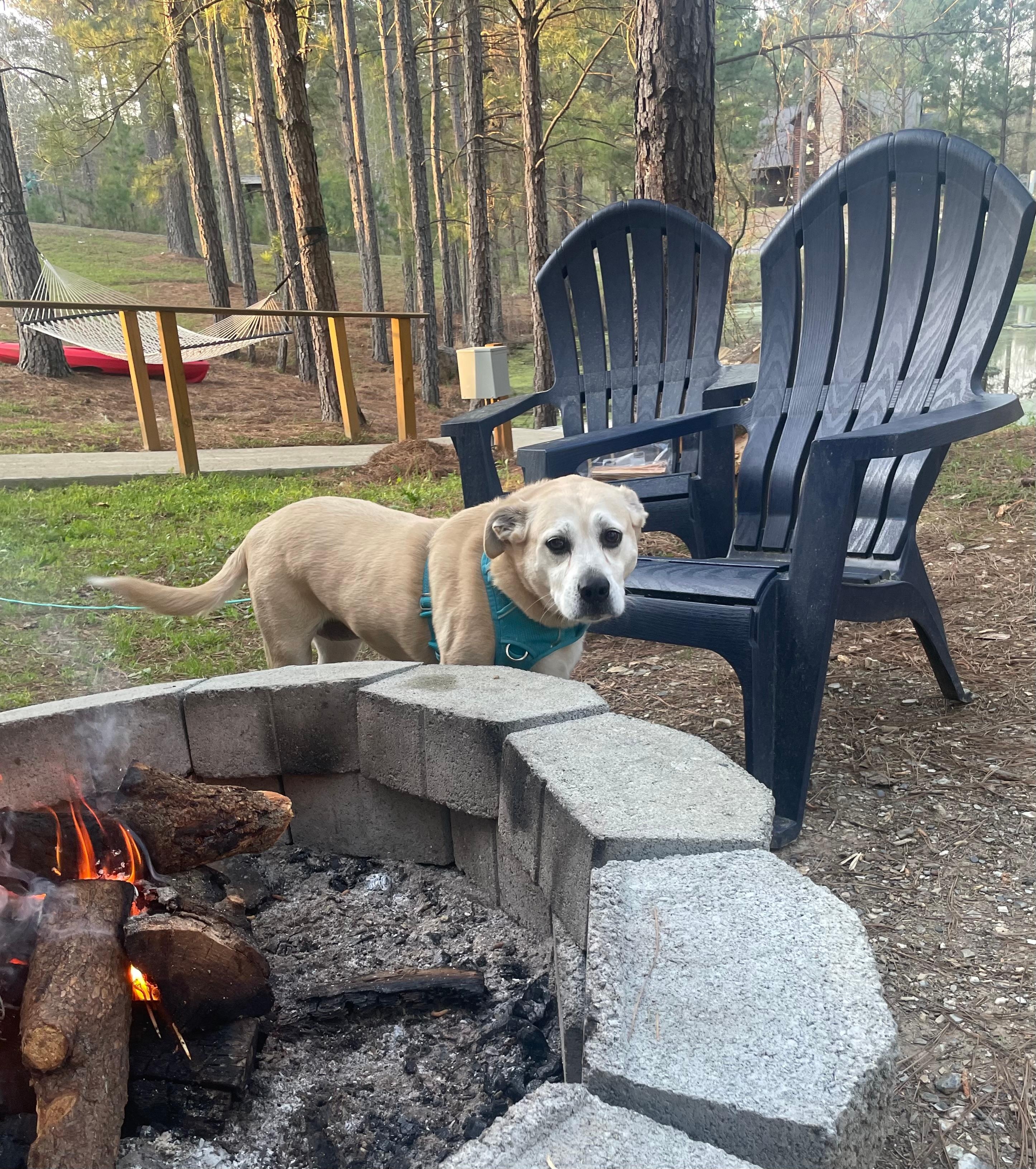 We enjoyed the fire pit and scenery. 