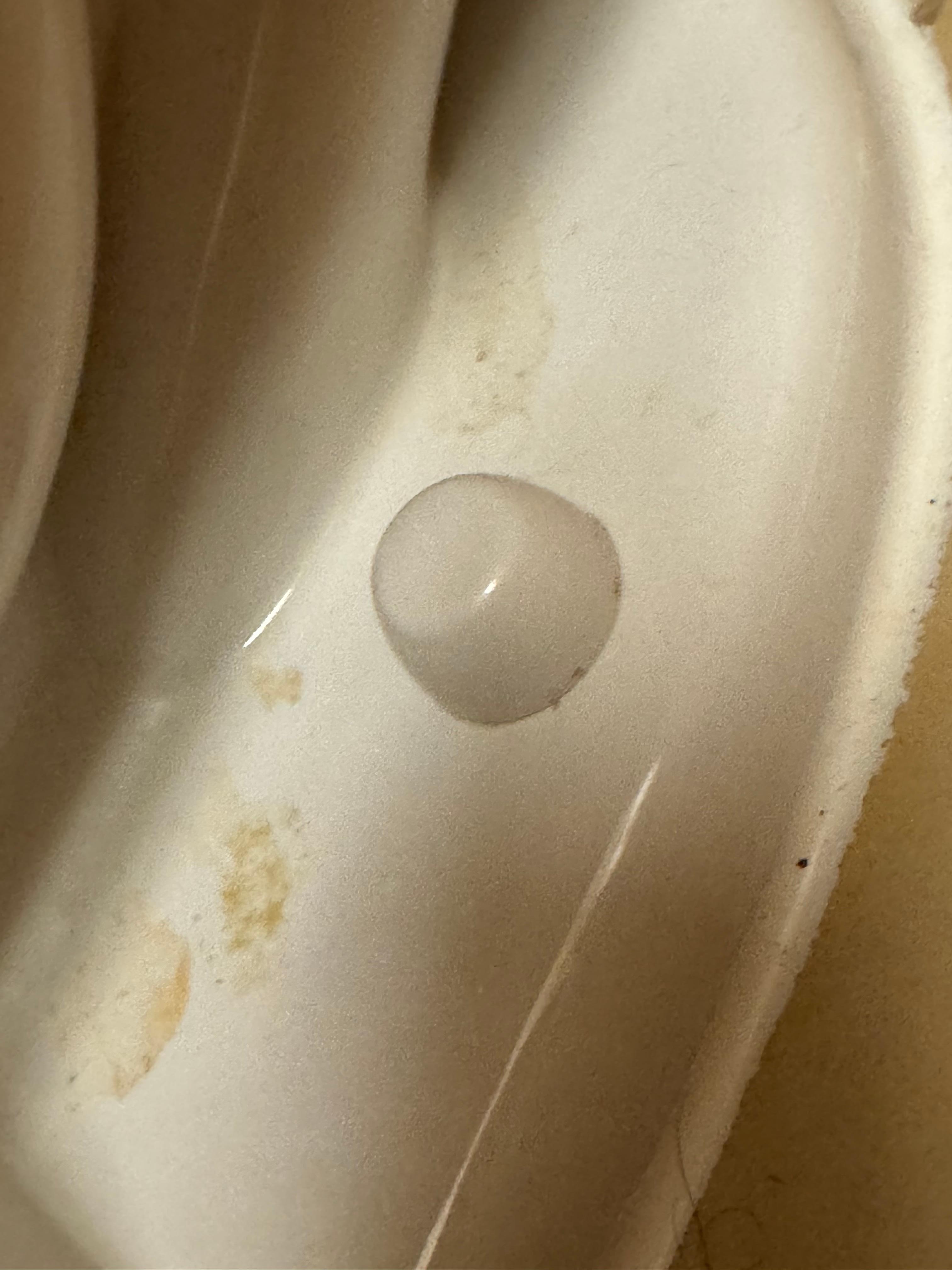Shouldn’t have to clean my toilet at a hotel