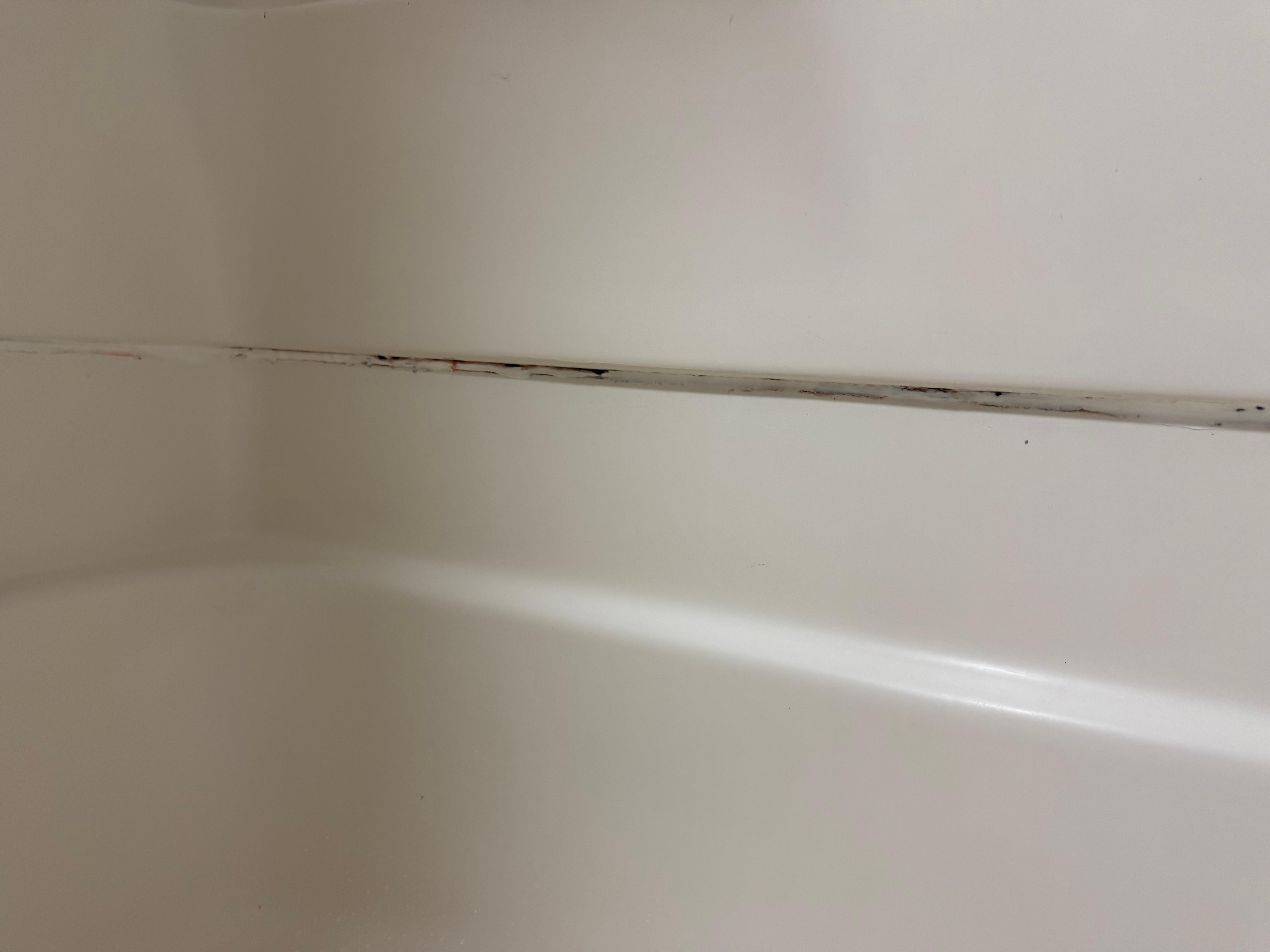 Mold on tub
