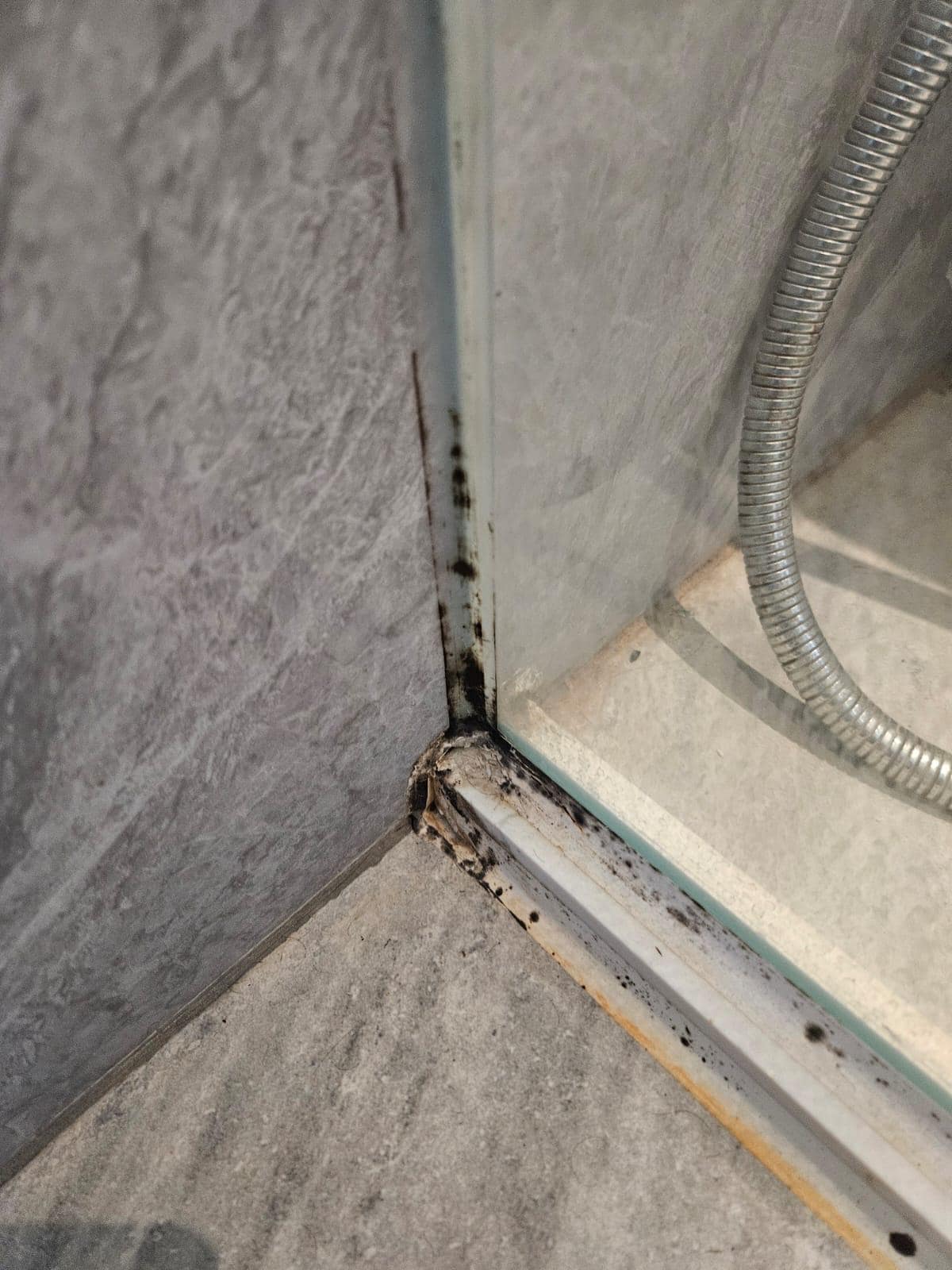 Mold in room 607