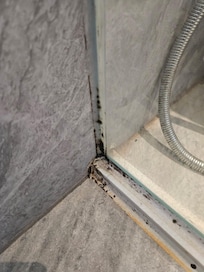Mold in room 607