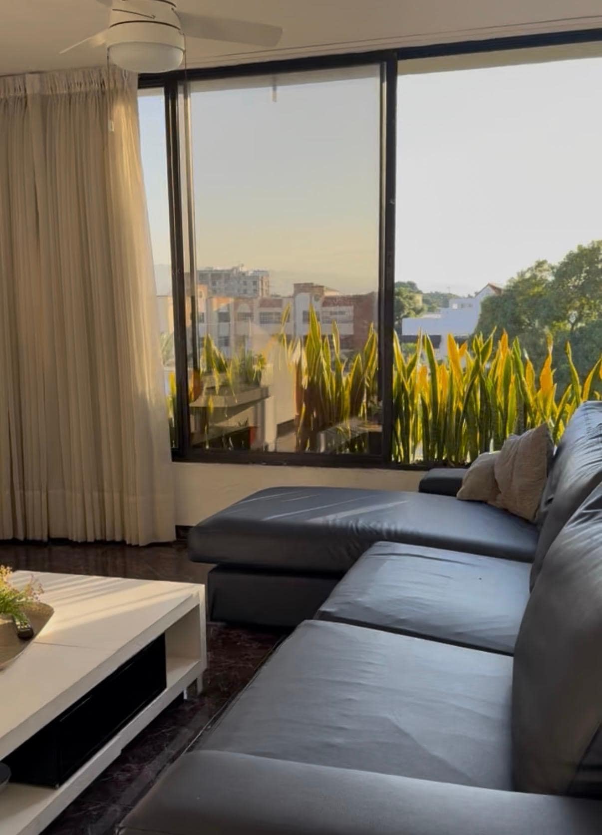 Living room the apartment is very bright 