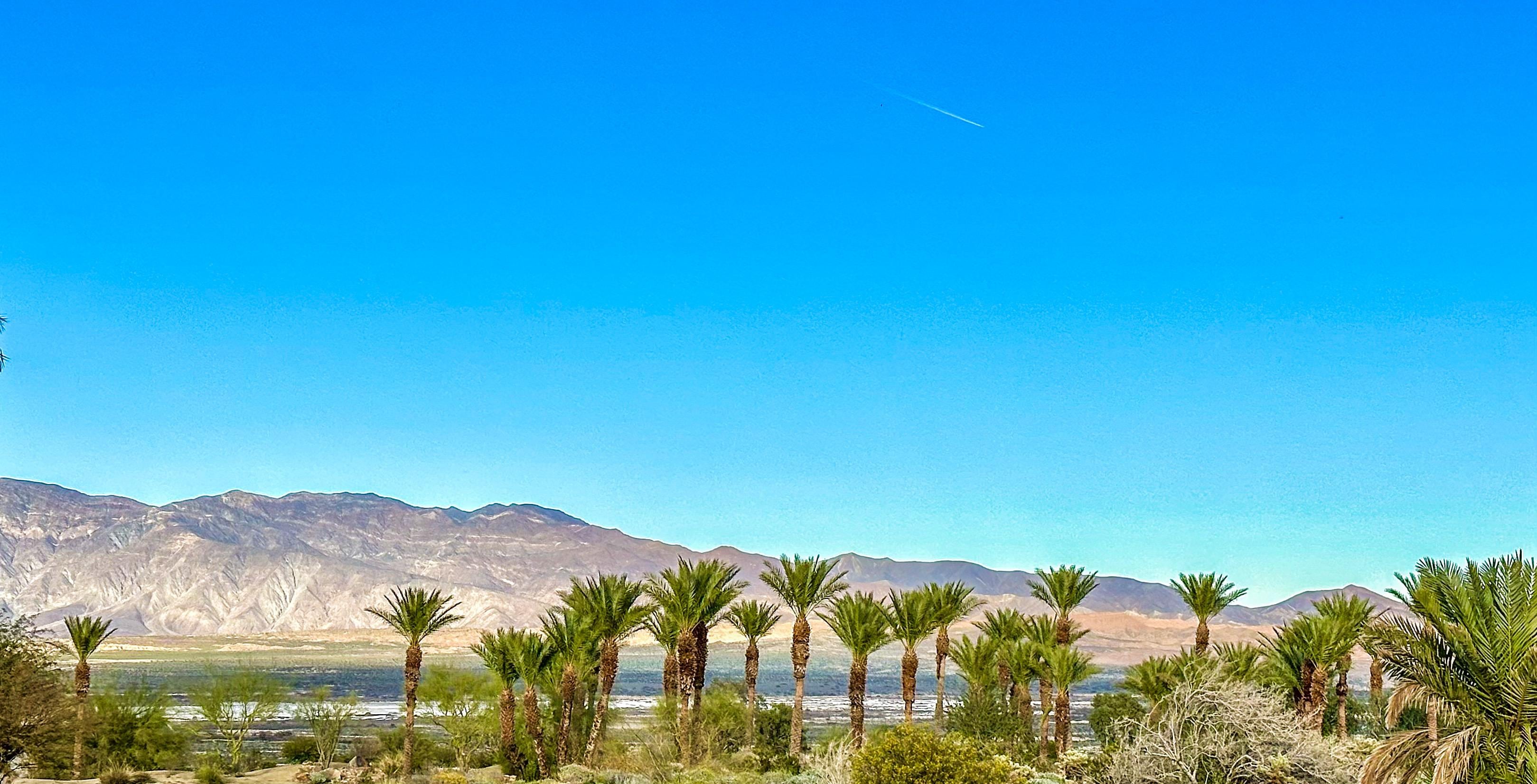 The view from the patio.