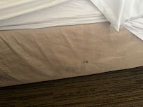 Stains on side of bed