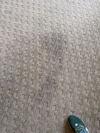 Stained carpet all over the room