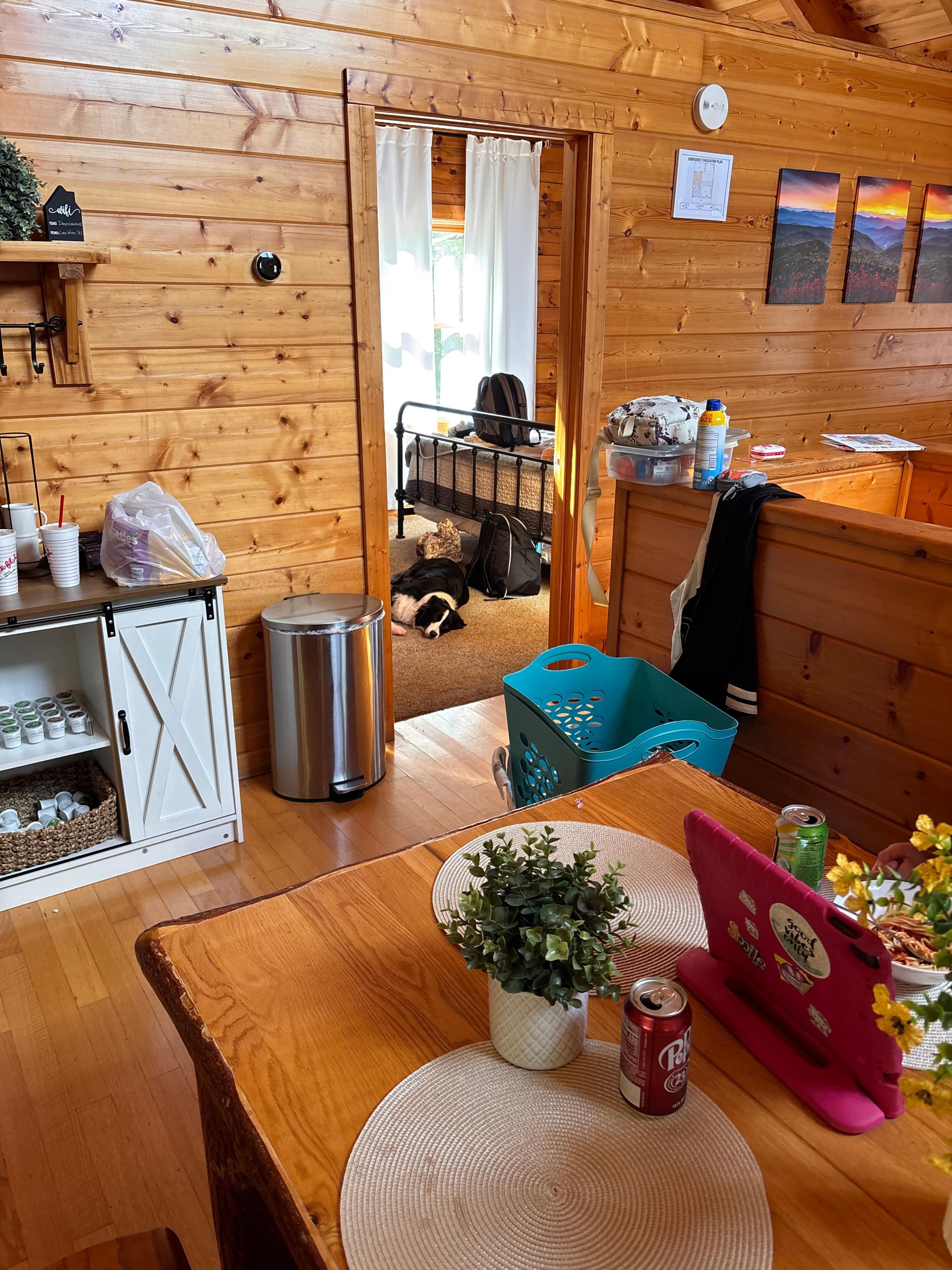 Only picture I have of the cabin shows my Aussie relaxing 😊