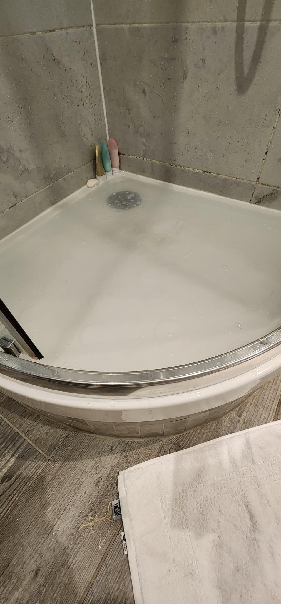 Shower that wouldn’t drain
