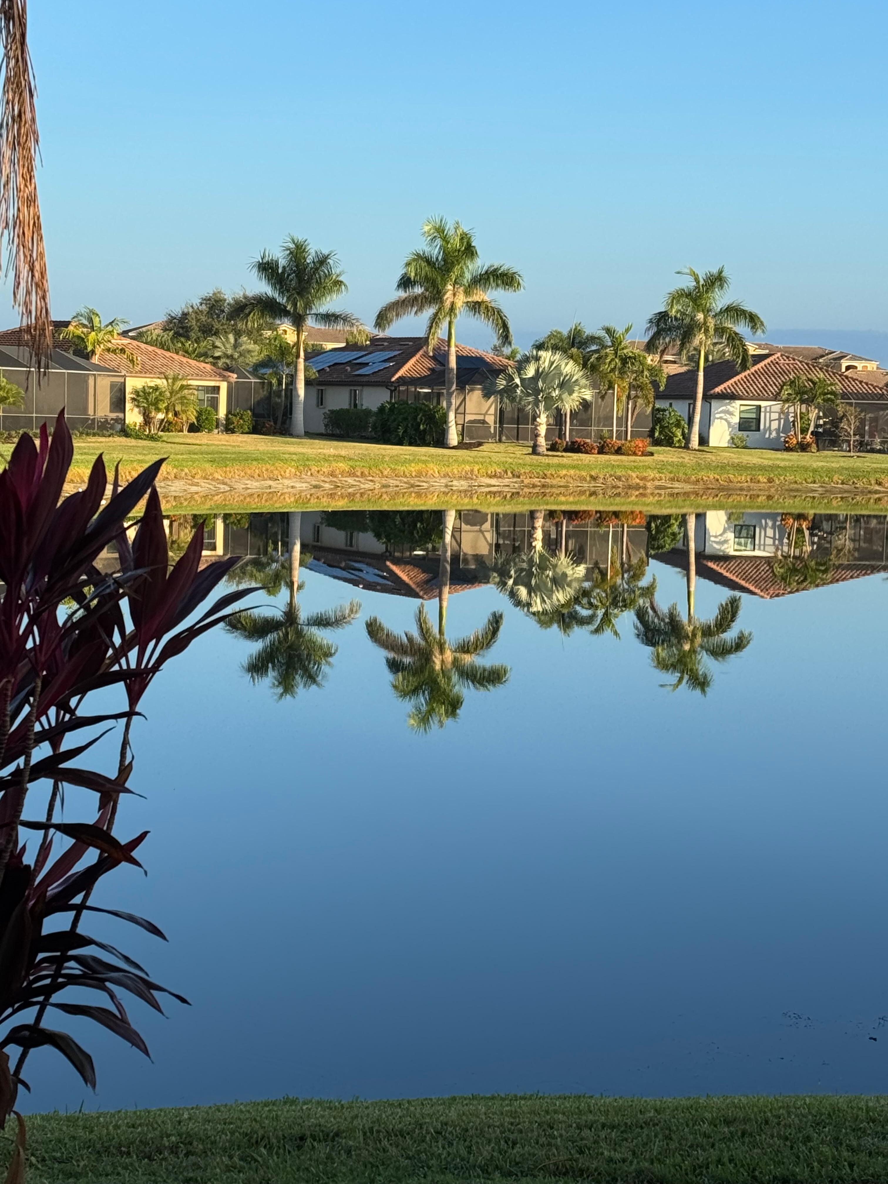 View from back patio