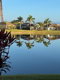 View from back patio