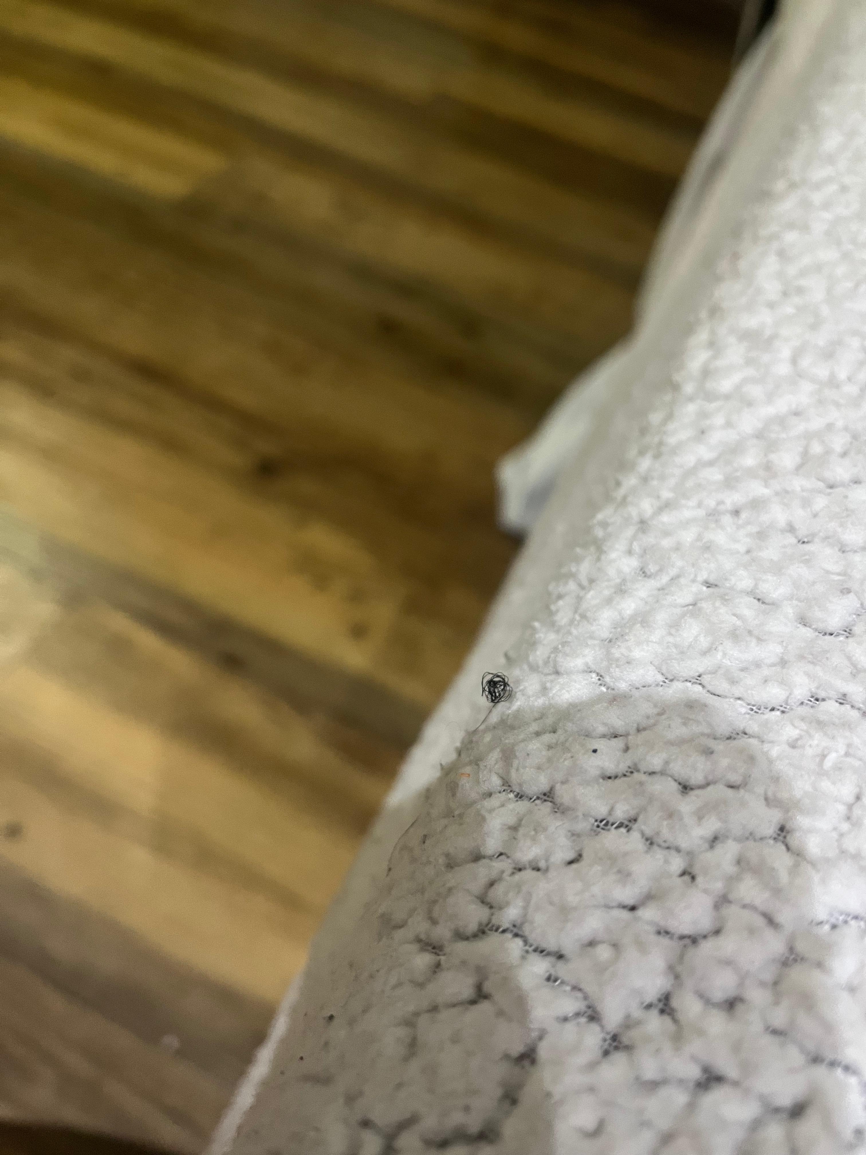 Fio de cabelo na coberta