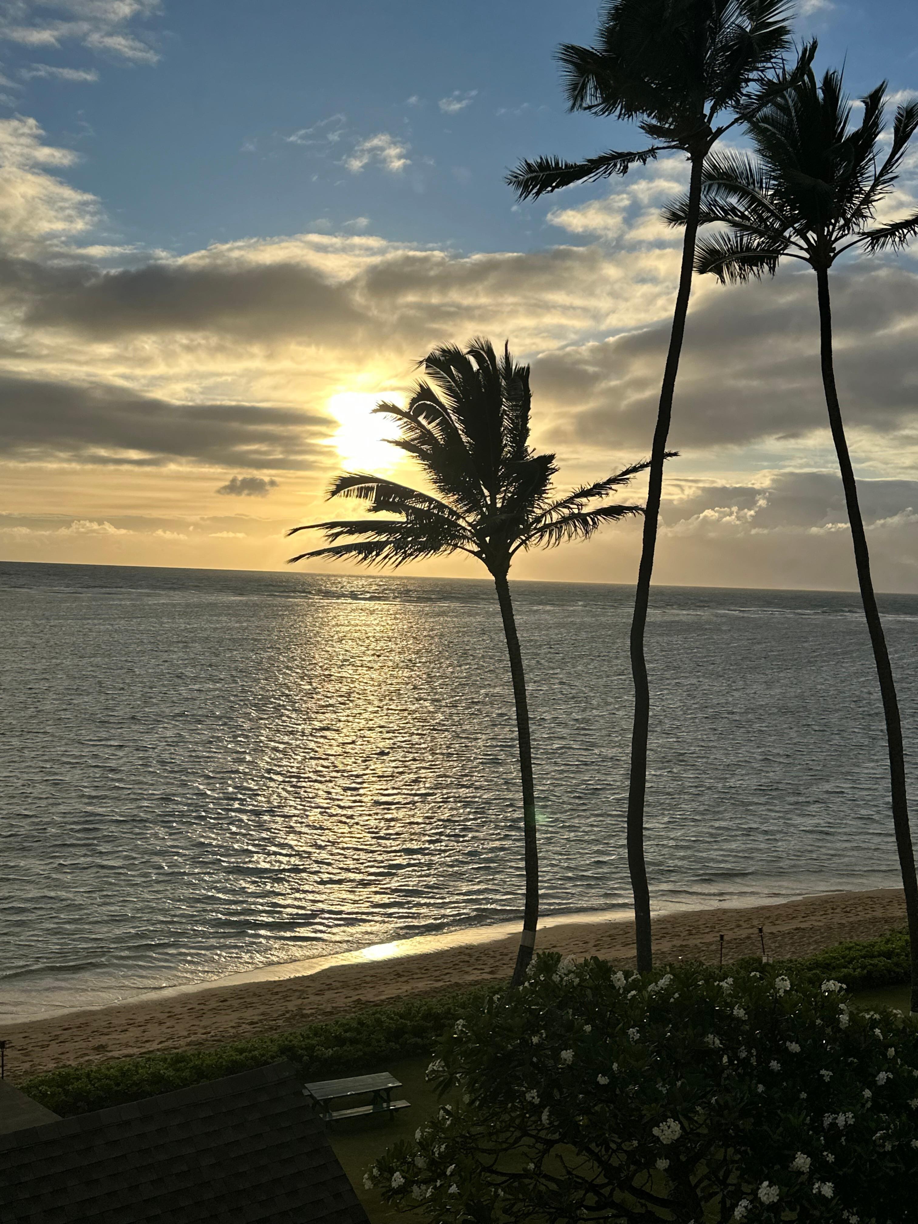View from the lanai